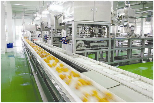 食品生產車間人流與物流的工程技術服務 保障安全與效率的雙重維度